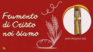 Frumento di Cristo Noi Siamo