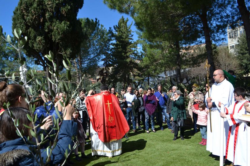 La Domenica delle Palme