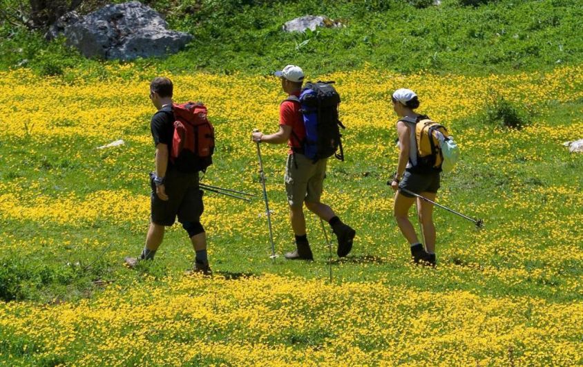 AMA LA VITA - Cammino di Fede per Adulti