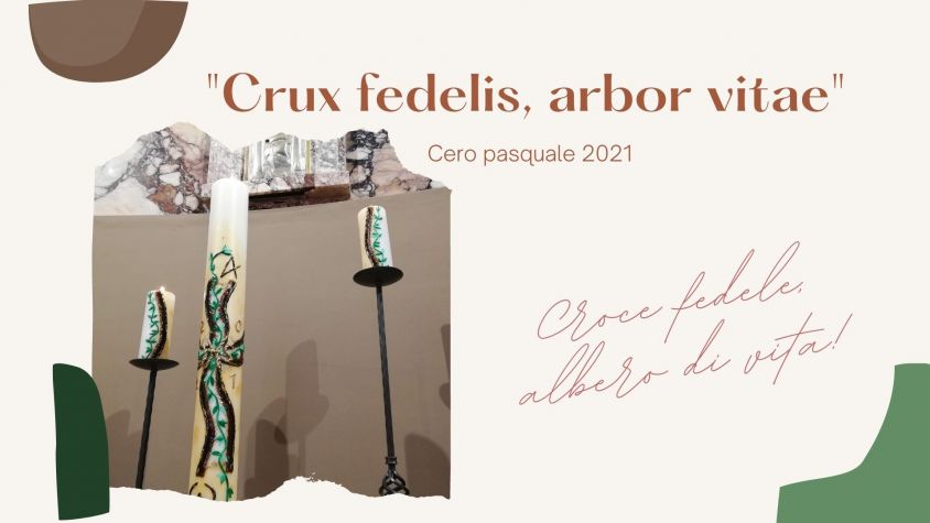 Crux fidelis, arbor vitae