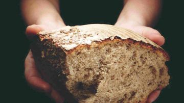 PROGETTO ZOOM: IL CIBO TRA LA VITA E LA MORTE